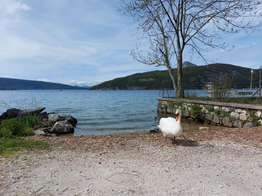 Charmant Et Spacieux Appartement A Quelques Pas Du Lac Duingt Exterior foto